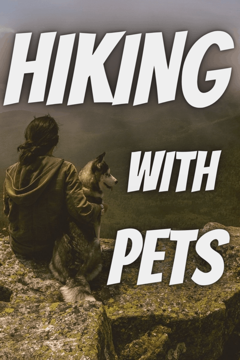 Enjoyable Tips For Hiking With Your Pets